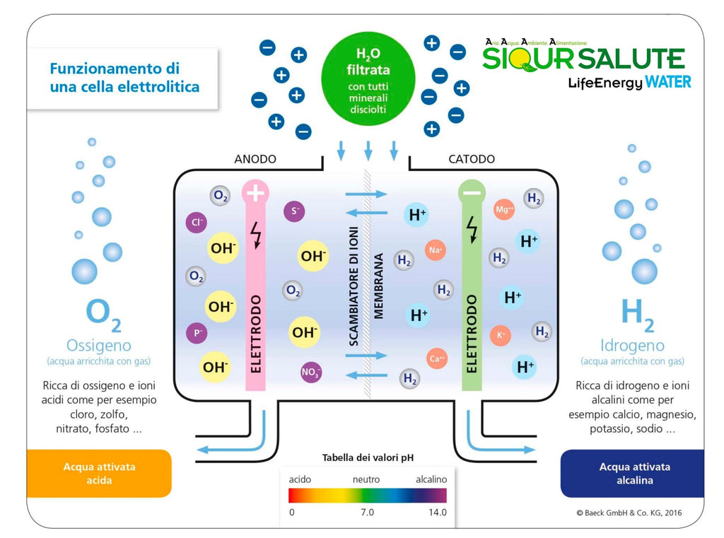 Purifier&Ionizer of water LifeEnergy WATER - tutto per te