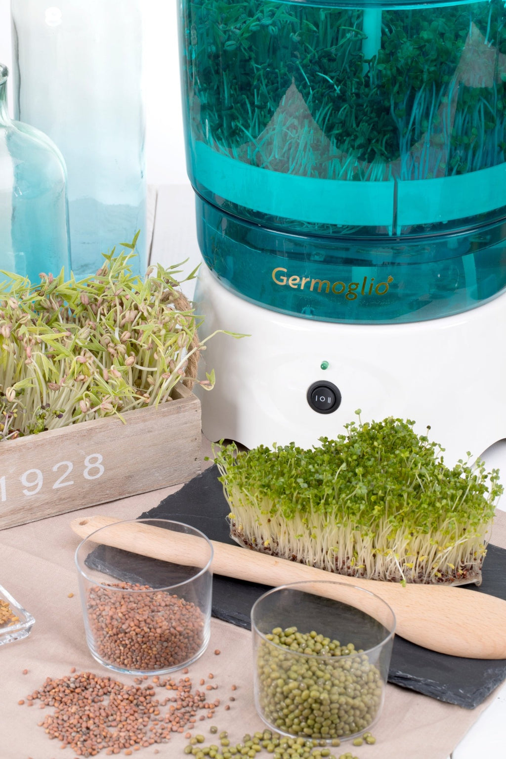 Seed sprouter automatic machine Germoglio - tutto per te